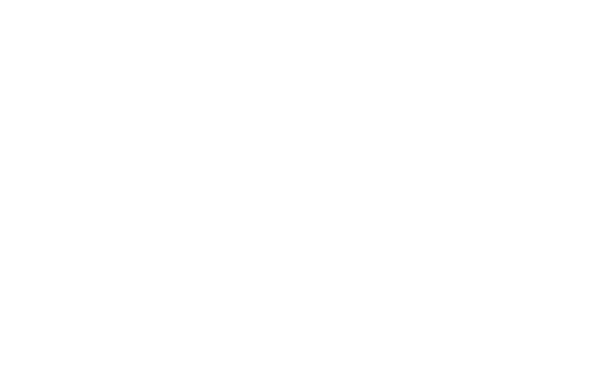 Celebrate Responsibly